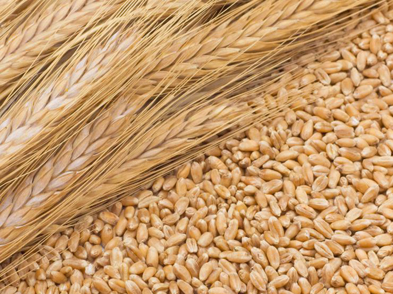 糧食重金屬檢測儀可以檢測糧食制品嗎?