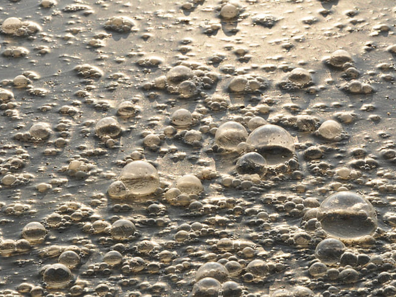 在線總氮監測儀可監測生活廢水