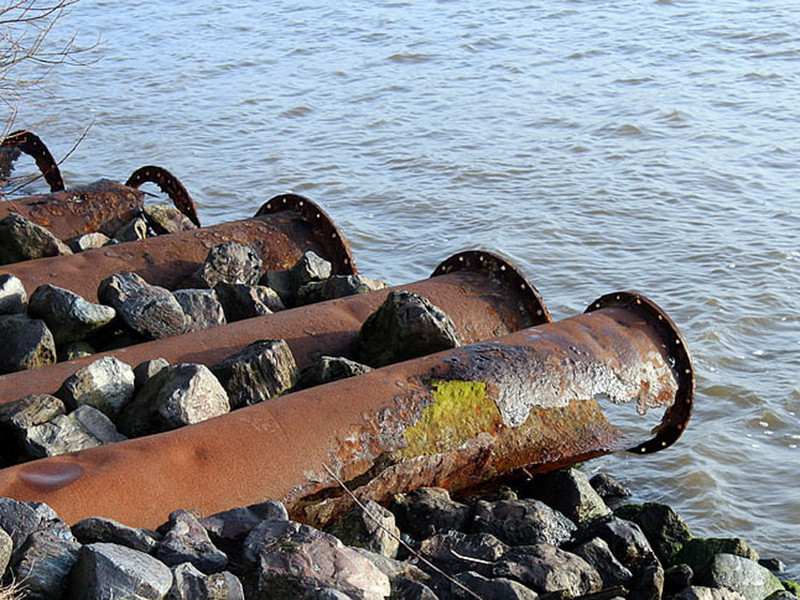水質生物毒性在線分析儀具備哪些特點?