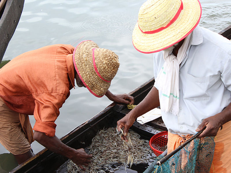 水產養殖業檢測水質的儀器是哪款?