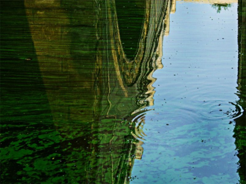 水質氨氮超標怎樣處理