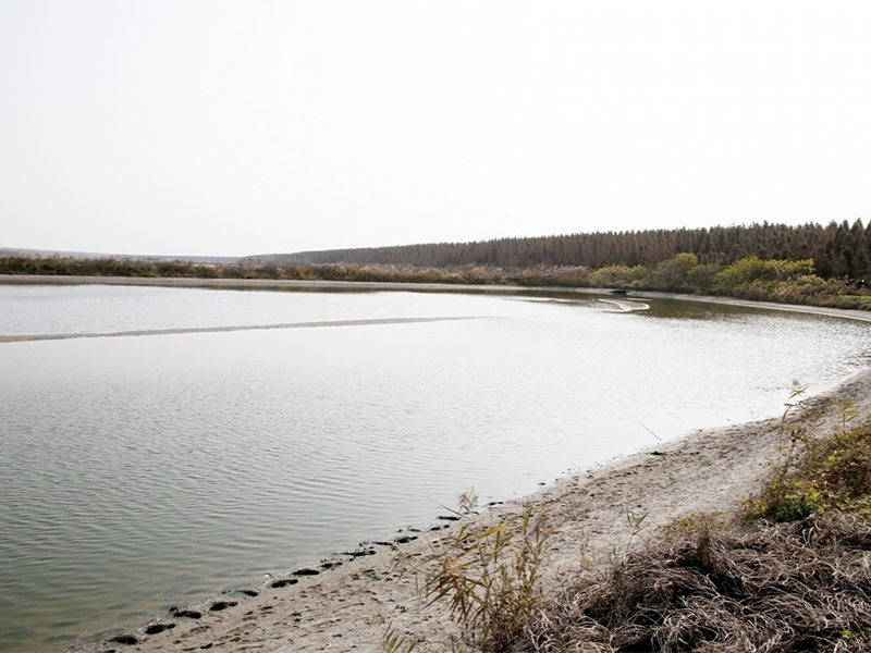 水質總磷檢測儀原理