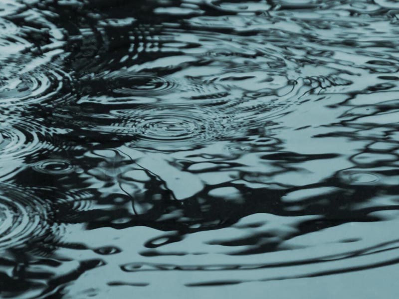 水質生物毒性檢測技術介紹