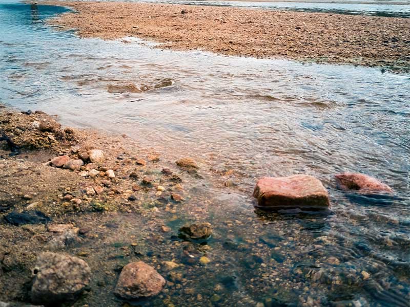 畜牧公司繞過水質監測設備排放污水被罰