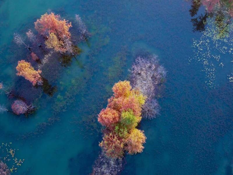 飲用水水質監測指標有哪些