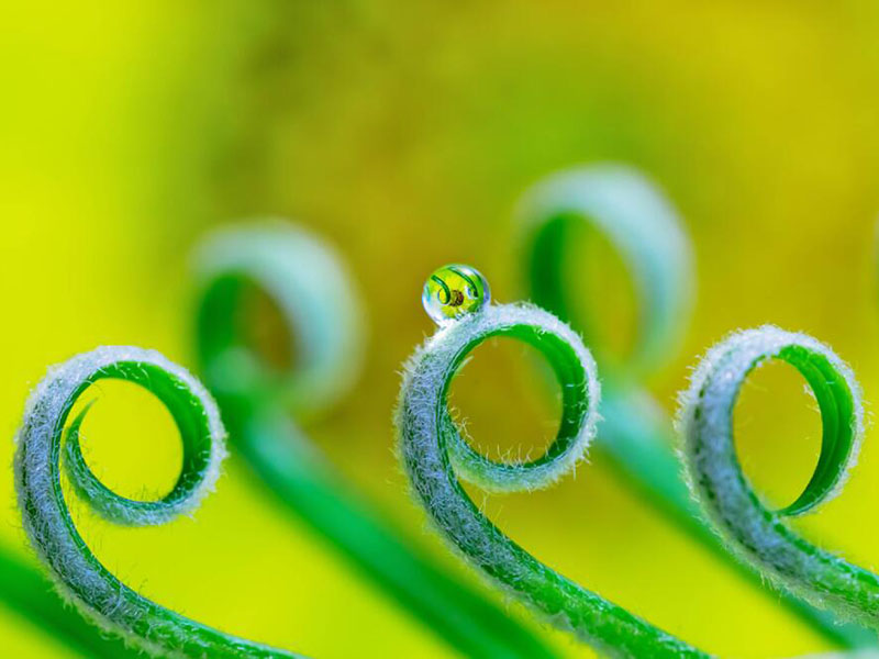 余氯、總氯、有效氯有什么區別