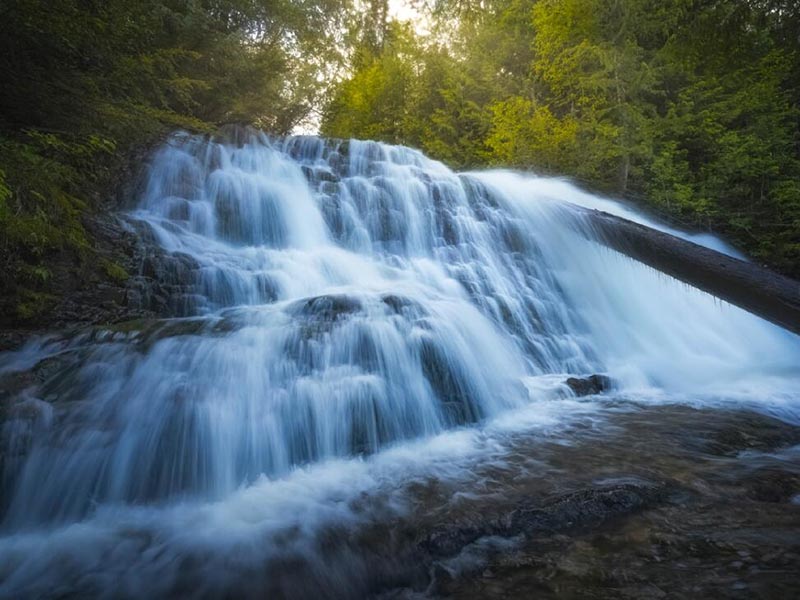 水質生物毒性檢測儀應用的必要性