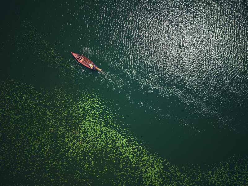 水體葉綠素a測定方法有哪些