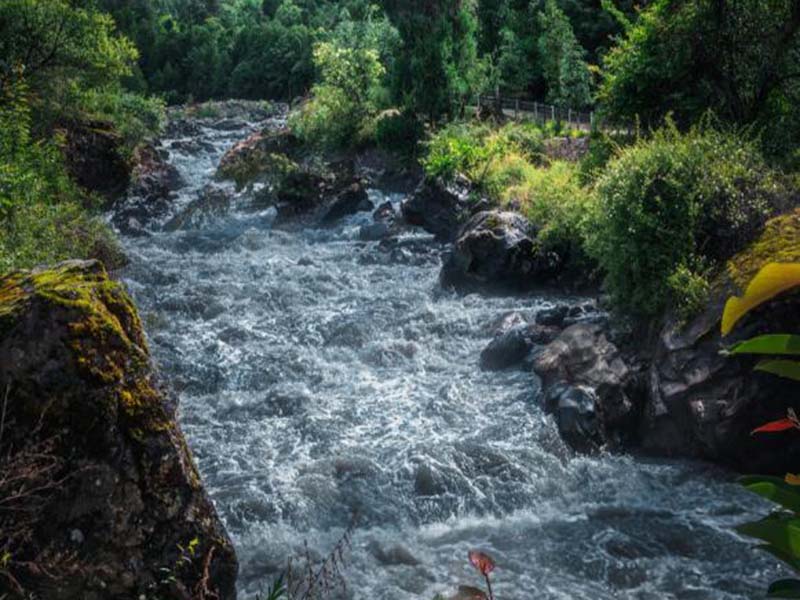 【問答】酶底物法檢測水質(zhì)總大腸菌群時測定結(jié)果如何計(jì)數(shù)