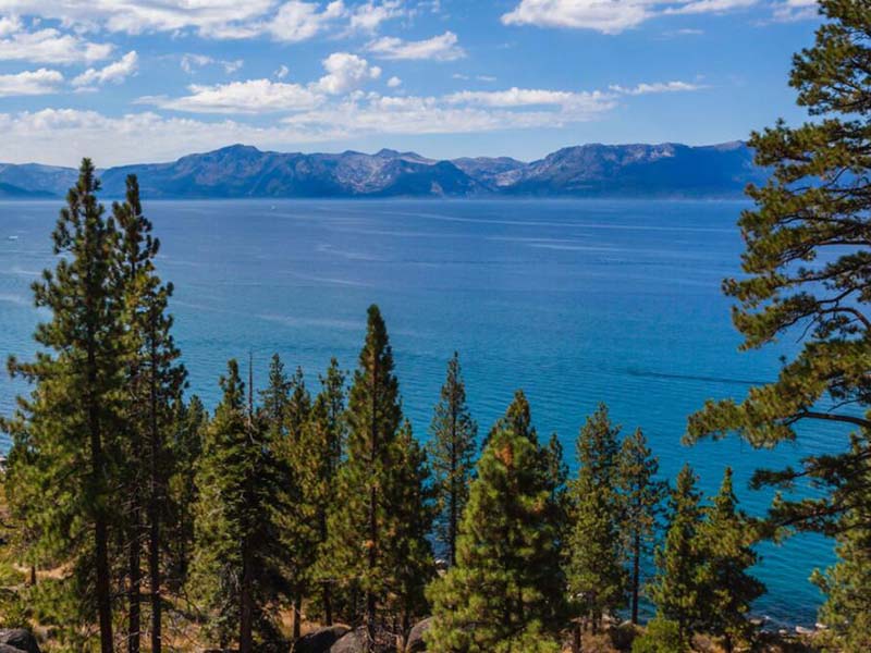 水質(zhì)COD檢測標(biāo)準(zhǔn)(水質(zhì)COD與BOD的區(qū)別)