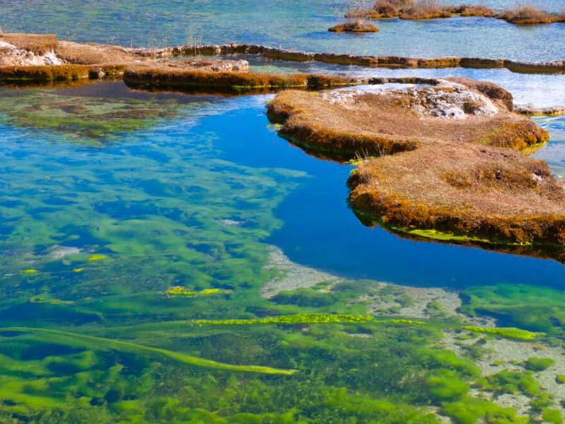 水質總氮在線分析儀誤差分析