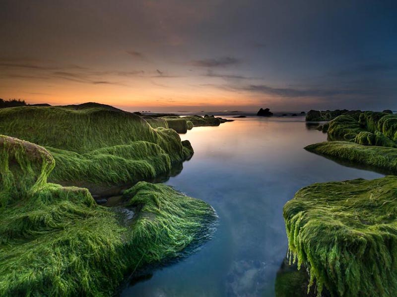 COD測定儀的操作說明