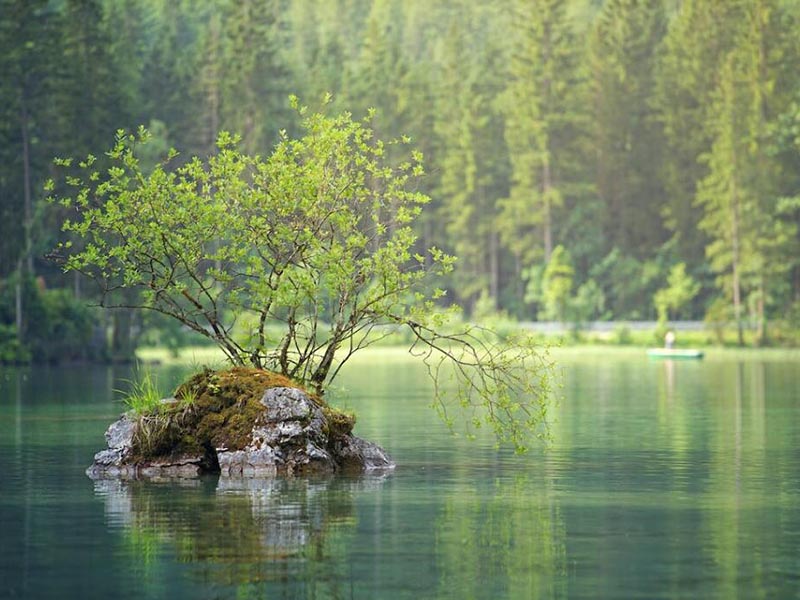 水中葉綠素在線監測儀原理