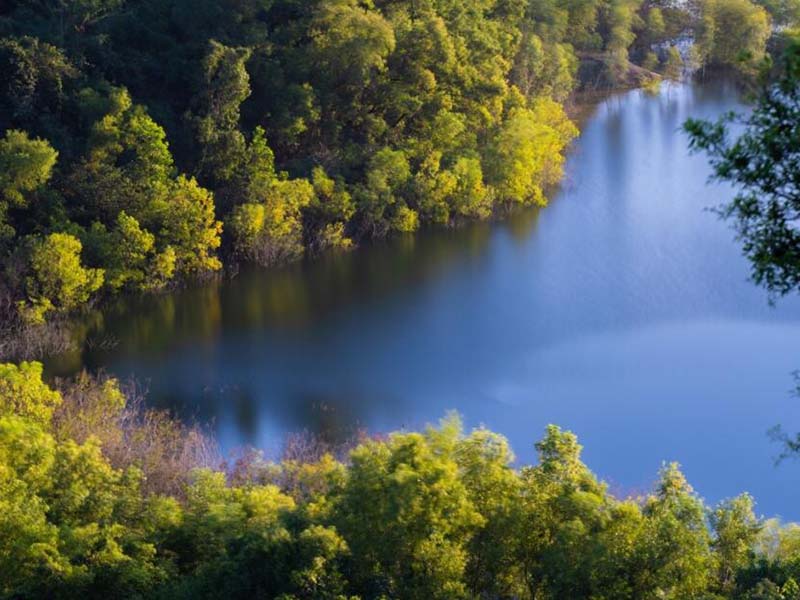 飲用水糞大腸菌群檢測方法哪種好（為何檢測飲用水中的糞大腸菌群）