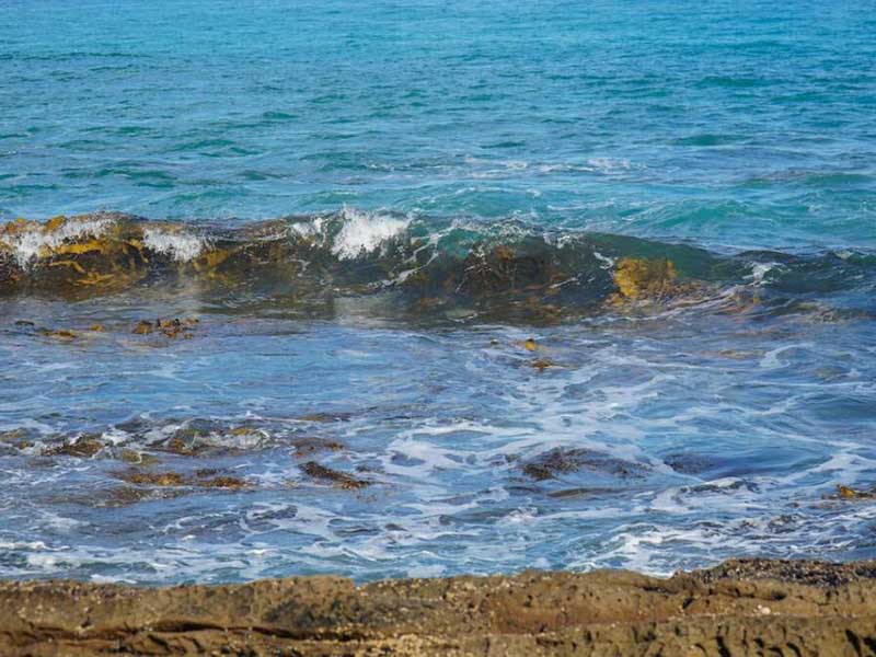 便攜式總磷檢測儀購買時應考慮哪些因素