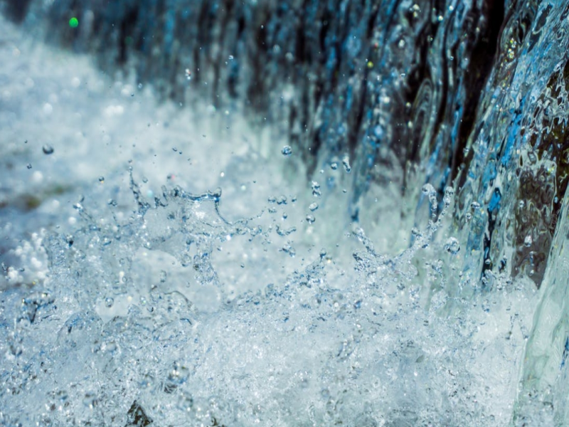 水質生物毒性檢測方法（降低生物毒性的措施）