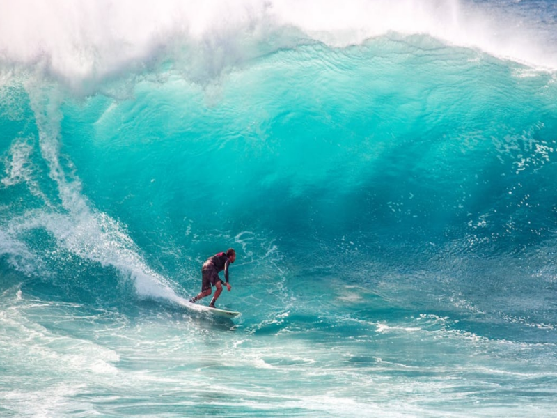 生物毒性檢測儀和熒光儀有什么區別?(生物毒性檢測儀原理)