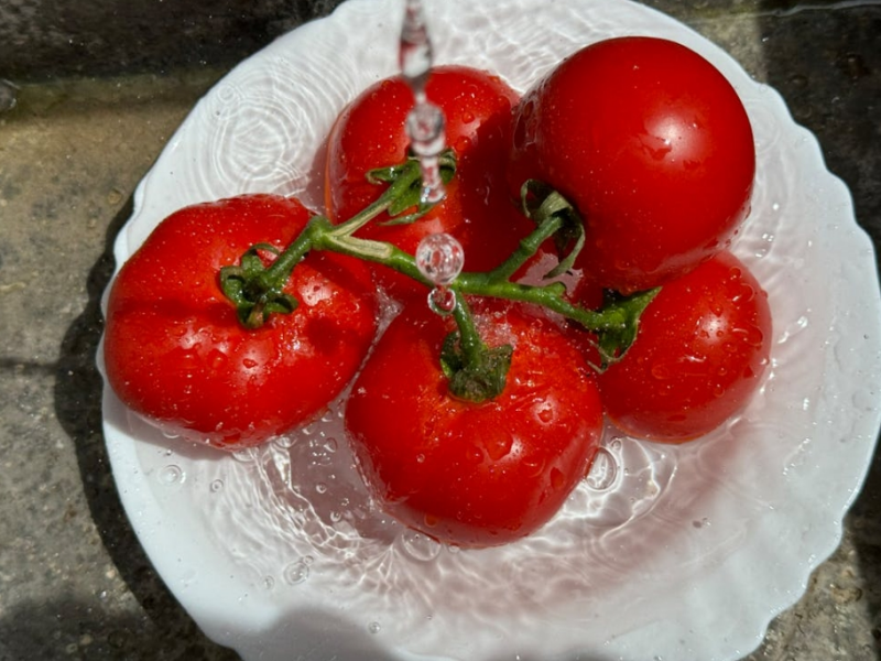 水的硬度過高有哪些危害（減少水硬度的方法）