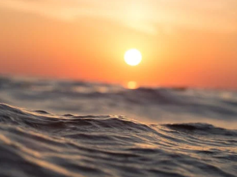 水產氨氮含量對養殖的重要性（?怎樣降低水塘氨氮含量）