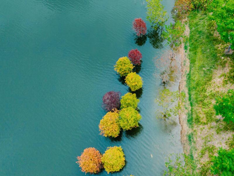 有效氯在水處理的作用（水質有效氯檢測儀多領域應用）