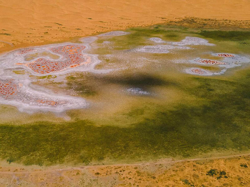 總磷快速檢測儀參數(shù)指標