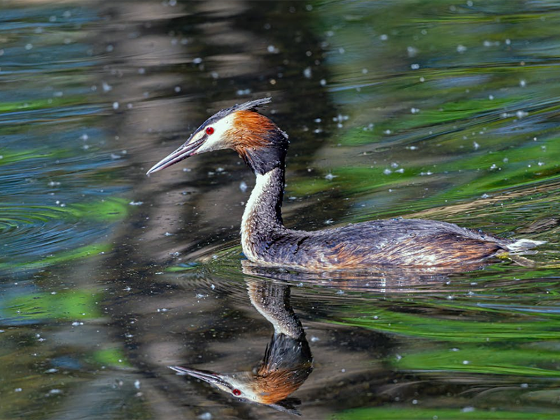 【統計】2024年1—12月全國地表水環境質量狀況