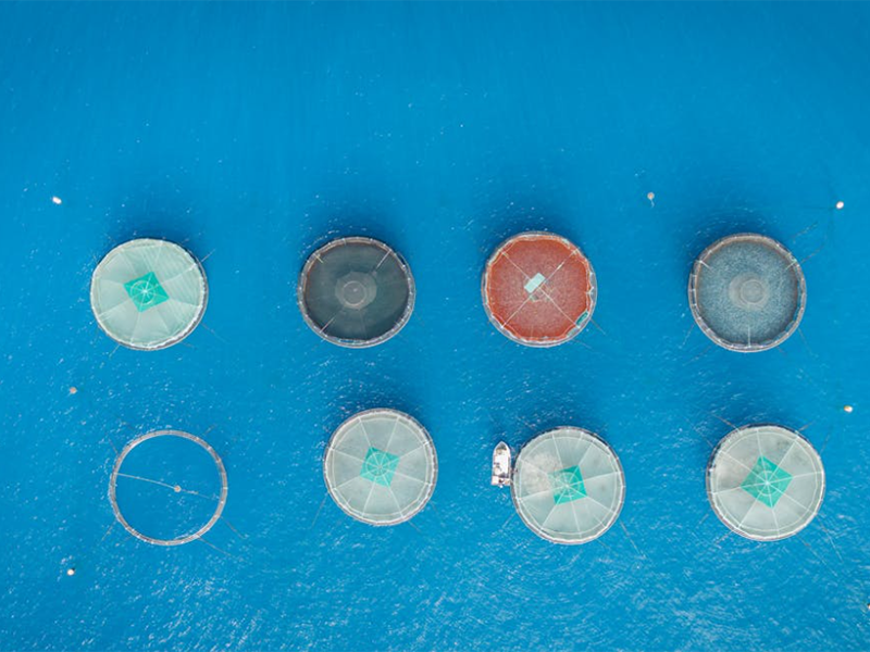 水產養殖水質檢測儀怎么選擇