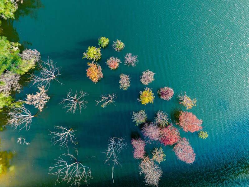 COD檢測儀消解比色一體管好處是什么（COD檢測常見問題及解決）