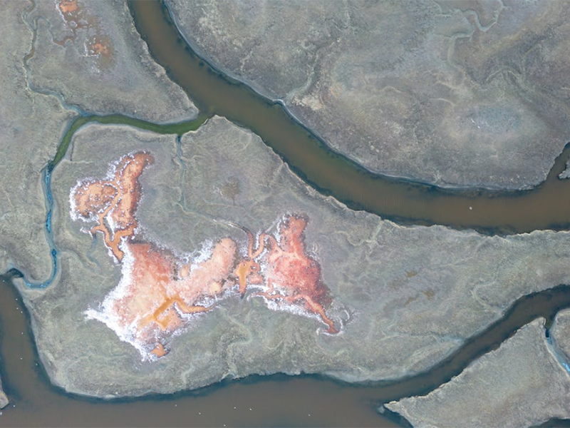 水質亞氯酸鹽檢測儀應用場景（水質亞氯酸鹽檢測儀的作用）