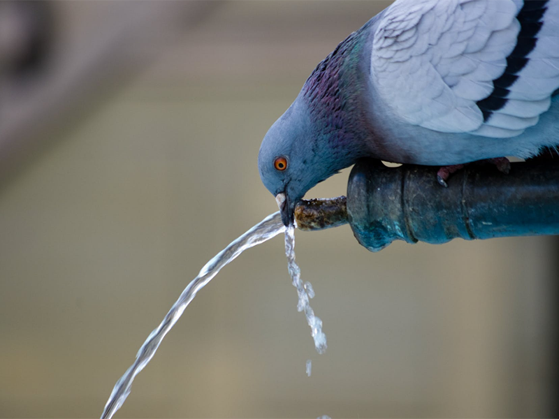 二次供水升級中水質監測設備的作用（水質監測設備功能特點）