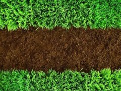 土壤水分測定儀助力農業發展