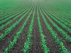 土壤墑情監測儀，為實現節水增糧奠定基礎