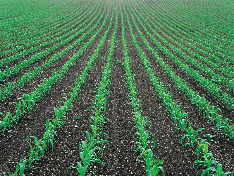 土壤墑情監(jiān)測儀，為實現(xiàn)節(jié)水增糧奠定基礎(chǔ)