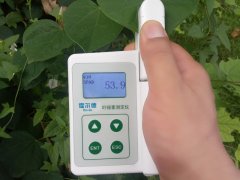 葉綠素含量測定儀,即時測量植物的綠色程度
