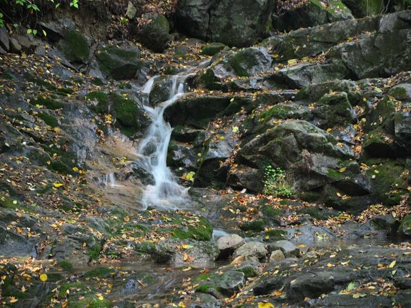 霍爾德余氯分析儀，可用于水源保護工作