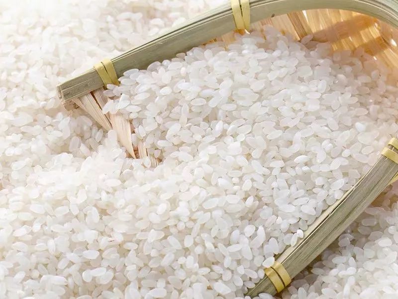 大米重金屬鎘檢測儀，可實(shí)現(xiàn)重金屬的快速定量檢測分析